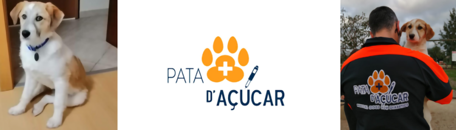 pata açucar