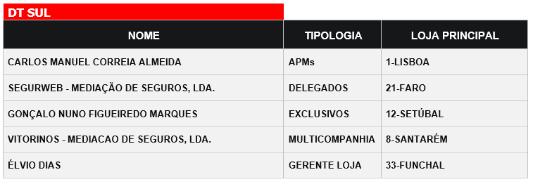 DtSul DtSul
