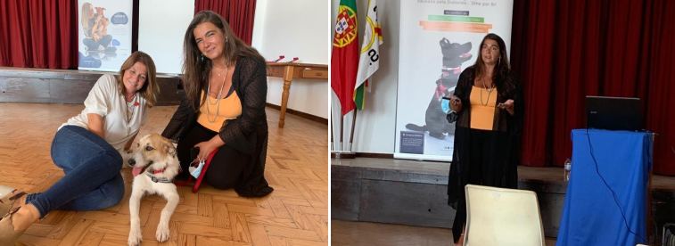 artigo email artigo email