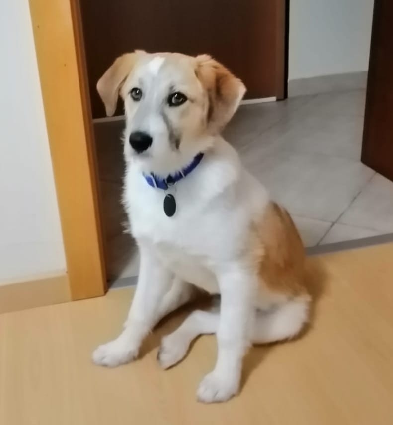 MERCY (5) MERCY (5)