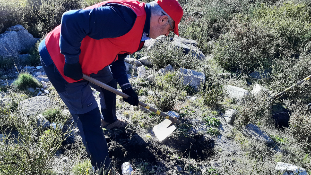 São Pedro do Sul - 07/02/2022 (3)