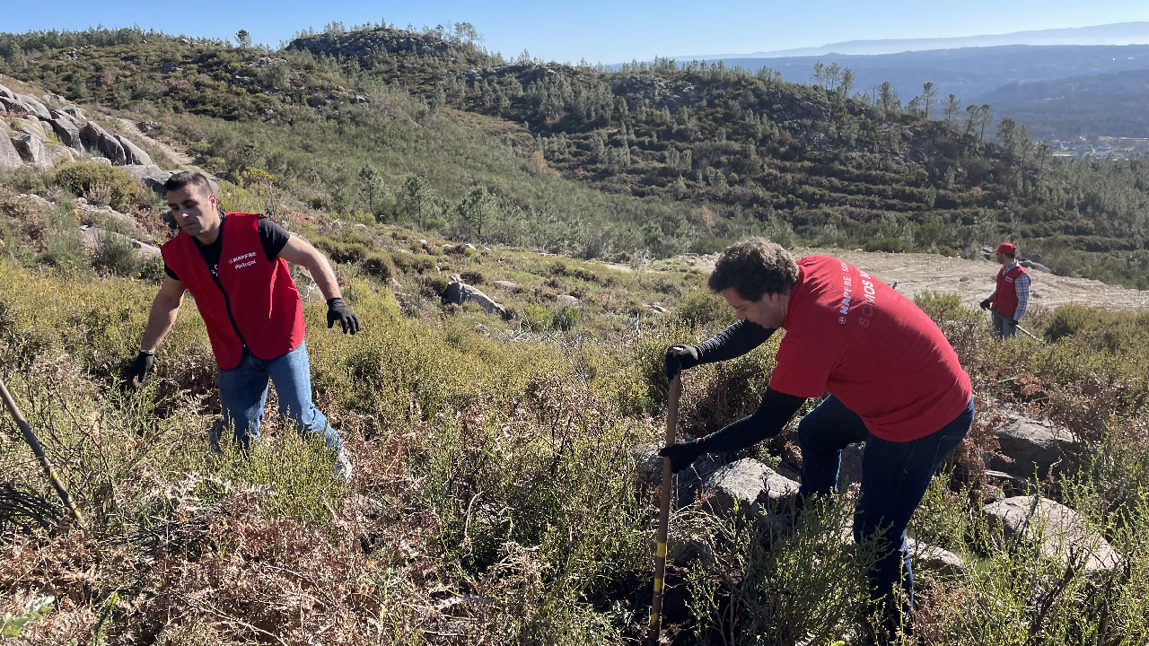São Pedro do Sul - 08/02/2022 (3)