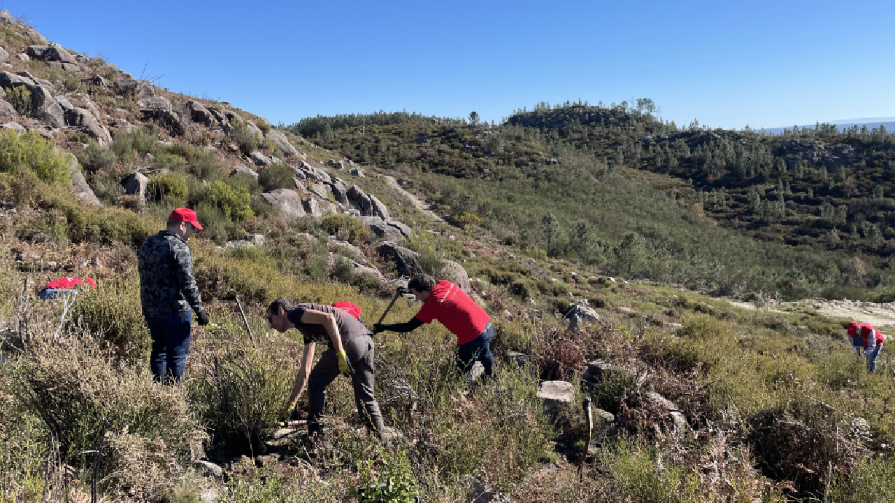 São Pedro do Sul - 08/02/2022 (4)