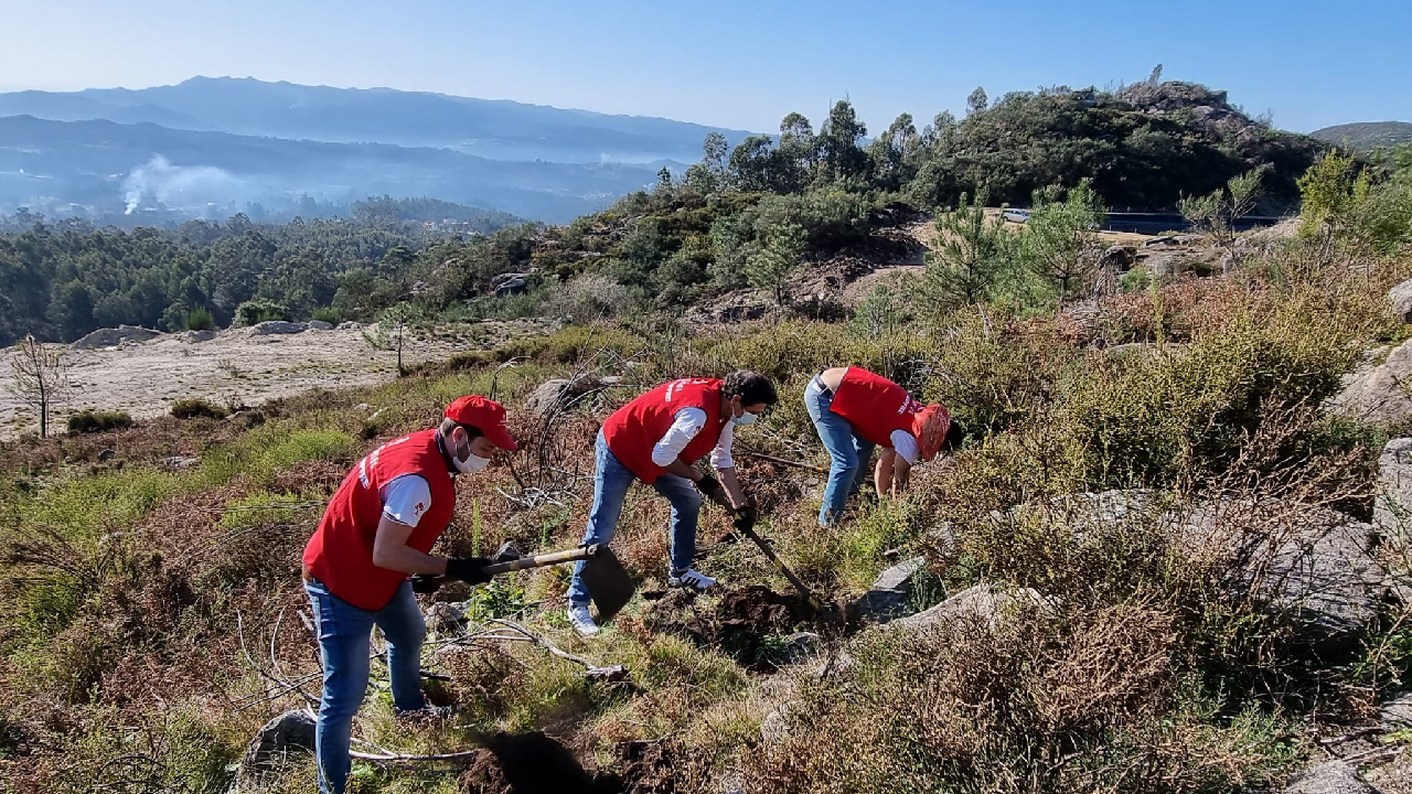 São Pedro do Sul - 09/02/2022 (3)