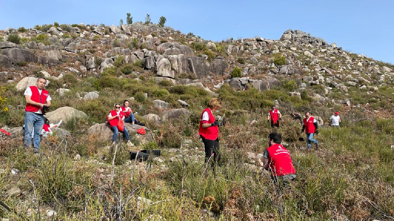 São Pedro do Sul - 10/02/2022 (4)