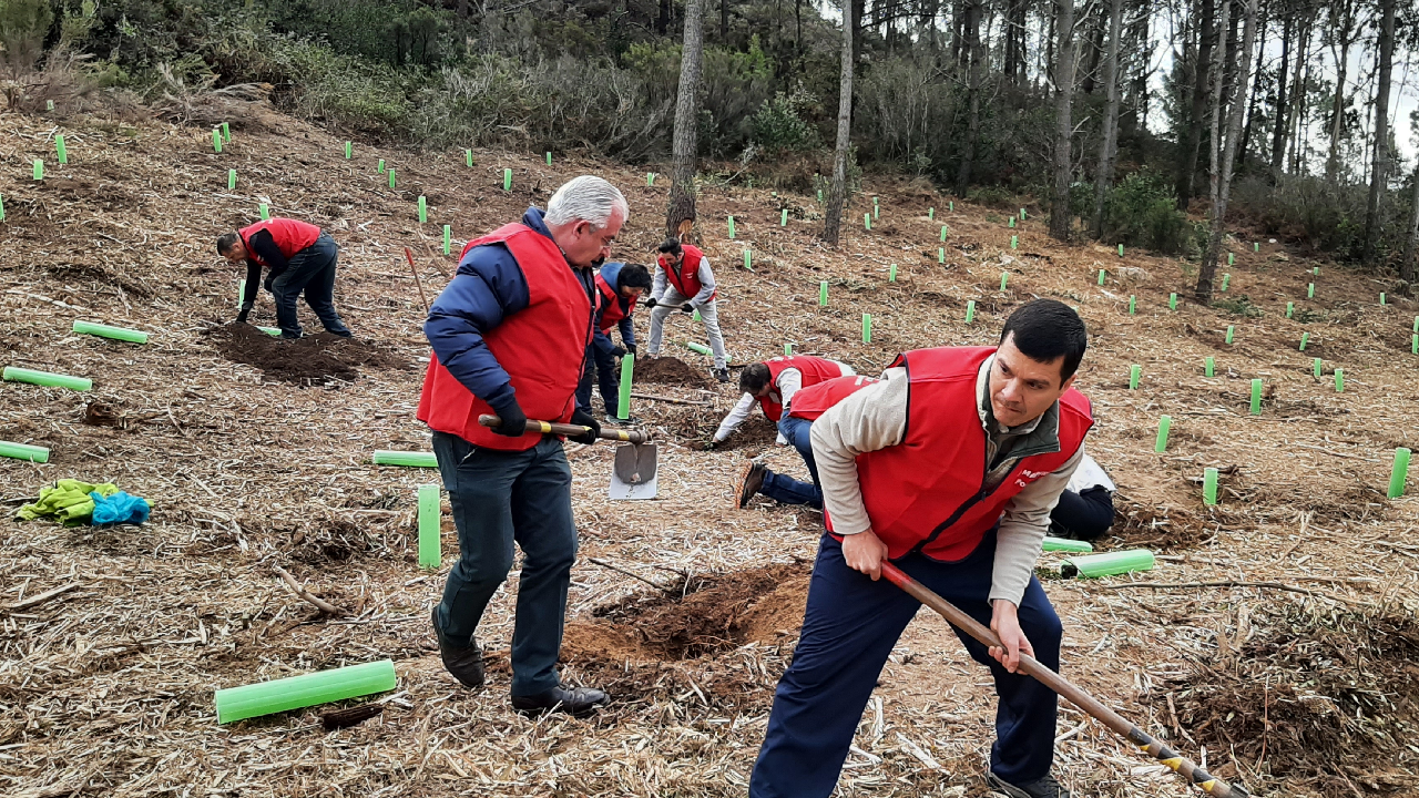 Sintra - Cascais - 16/02/2022 (3)