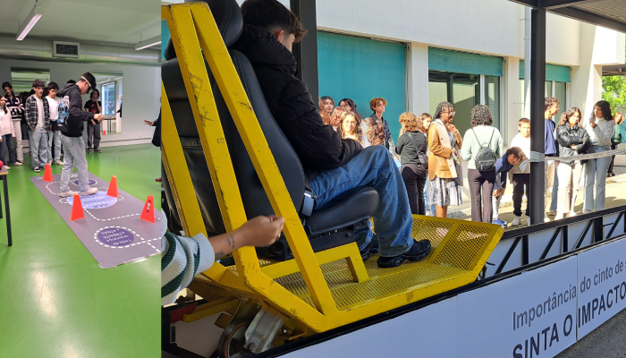 Coimbra (Escola Sec. Quinta das Flores) 