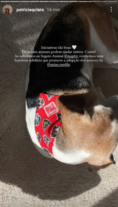 Pet Influencer da Patrícia Claro