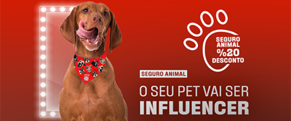 600x250 petinfluencer