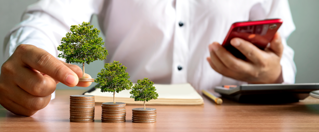 600 x 250 milhao vida 1