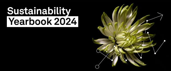 600x250 sustainability