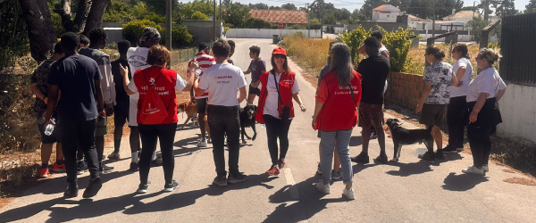 600x250 casa amarela 600x250 casa amarela