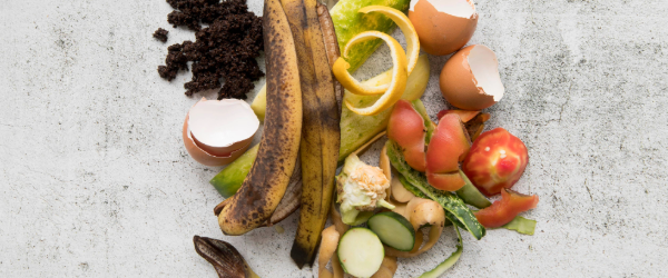 600 x 250 Dia Mundial Contra desperdício