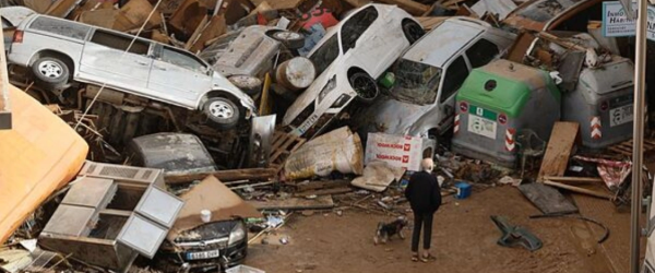 600x250 dana mensageiros