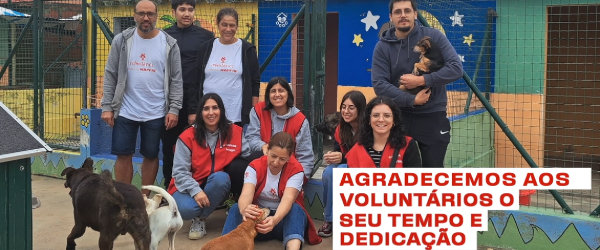 600 x250 Dados Voluntariado 600 x250 Dados Voluntariado