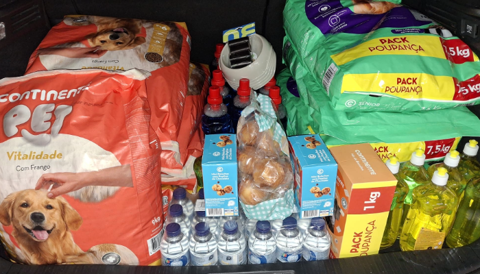 700x400 caominhada (4) comida para cães numa iniciativa solidária