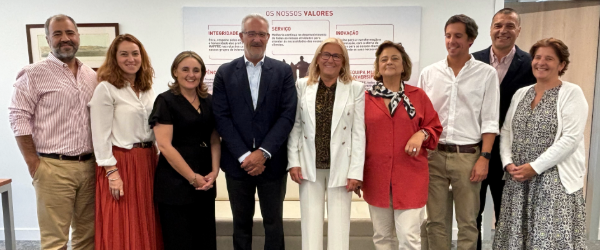 600x250 reforma anabela