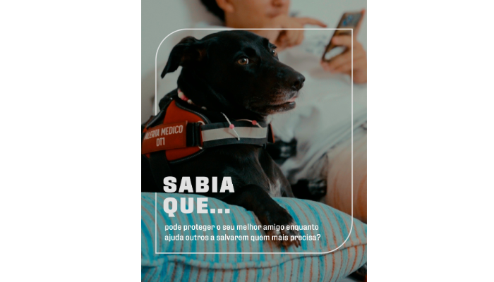 700x400 campanha animais2