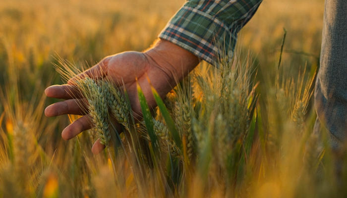 700x400 agropcuaria (1)