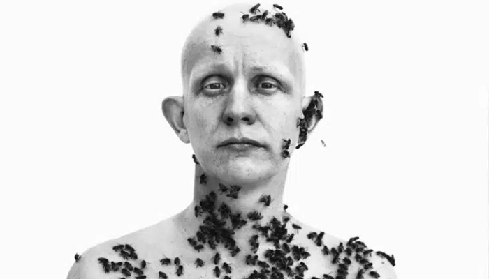 700x400 avedon exposição Dia Mundial da Arte -avedon